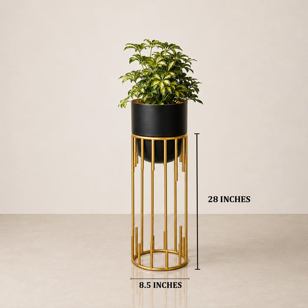 Dripping Luxury Metal Black Planters - Medium