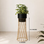 Zen Botanics Planters - Big - Black