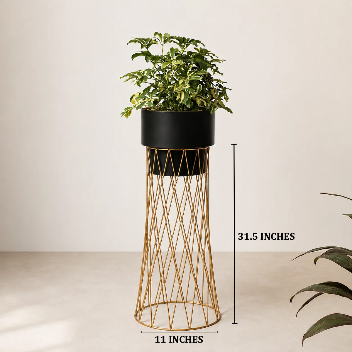 Zen Botanics Planters - Big - Black