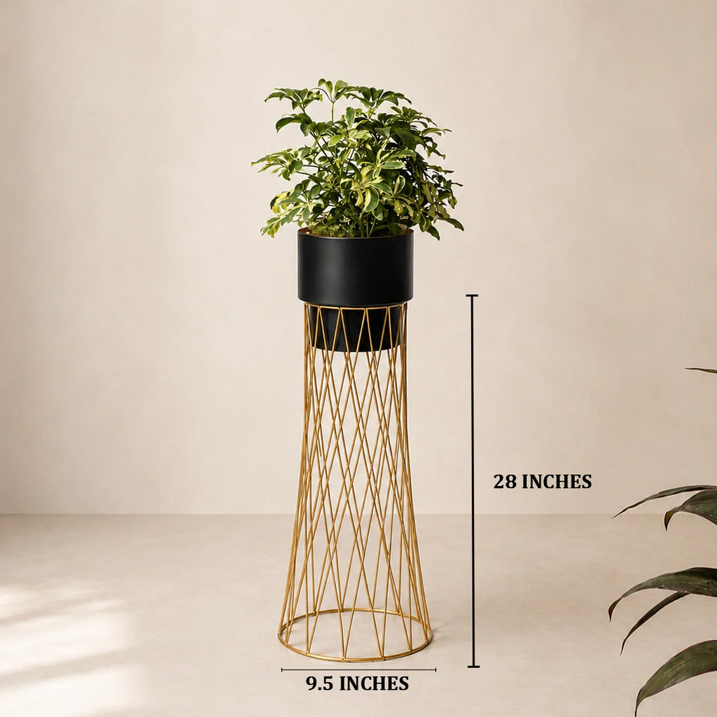Zen Botanics Planters - Medium - Black