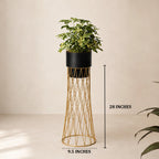 Zen Botanics Planters - Medium - Black