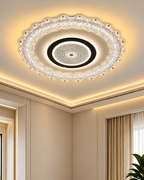 Elysian Radiance Ceiling Light for Home & item for Decoration