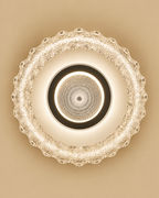 Elysian Radiance Ceiling Light for Home & item for Decoration