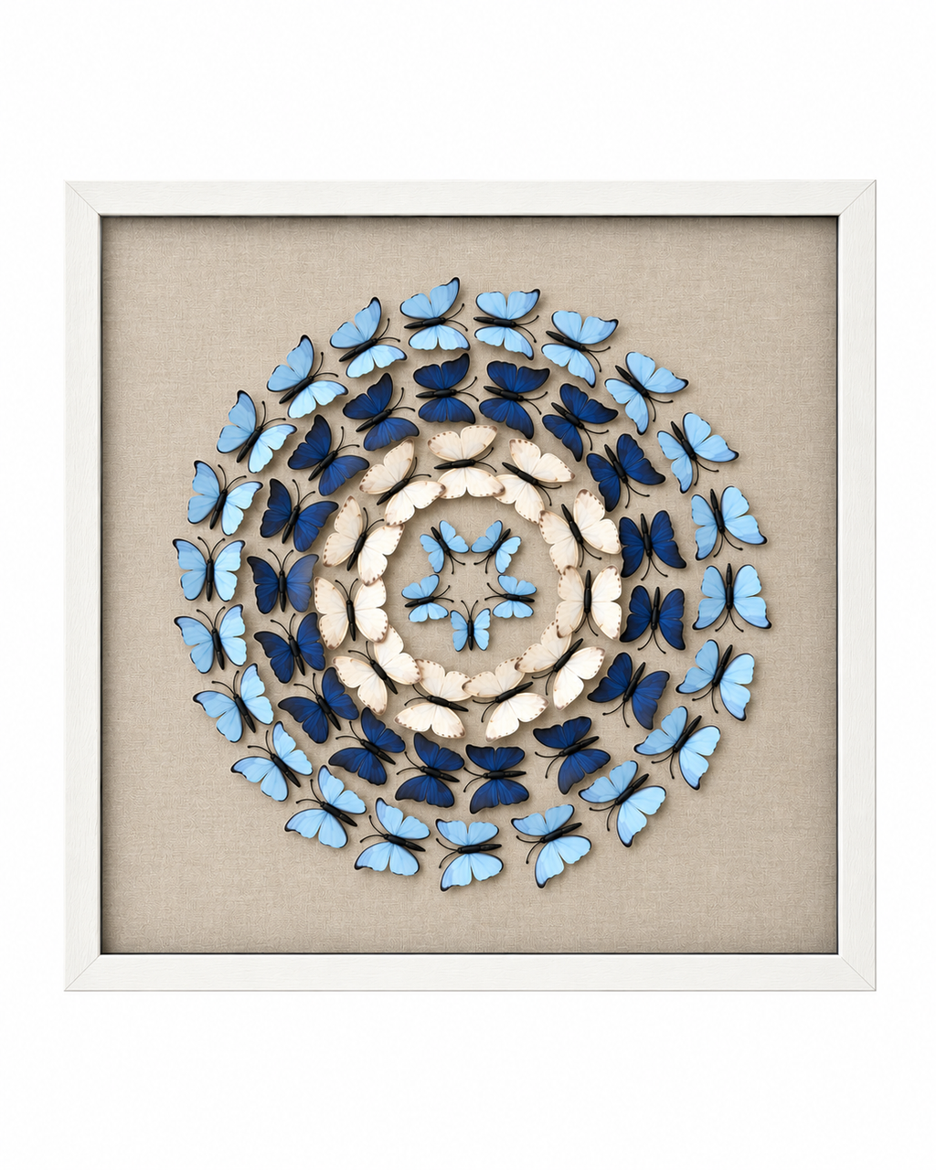 Circle of Butterflies Shadow Box for Wall Decoration & Wall Art
