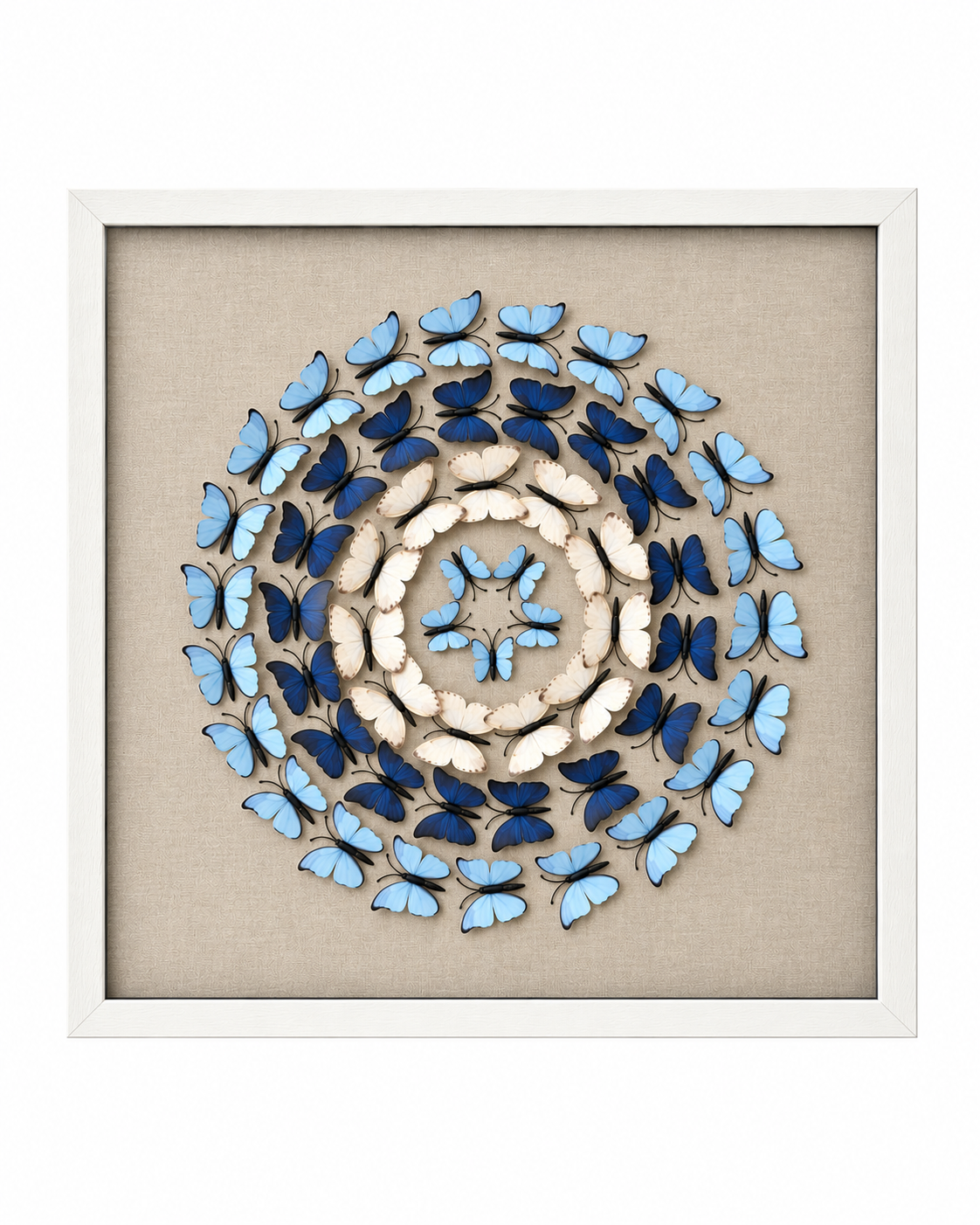 Circle of Butterflies Shadow Box for Wall Decoration & Wall Art