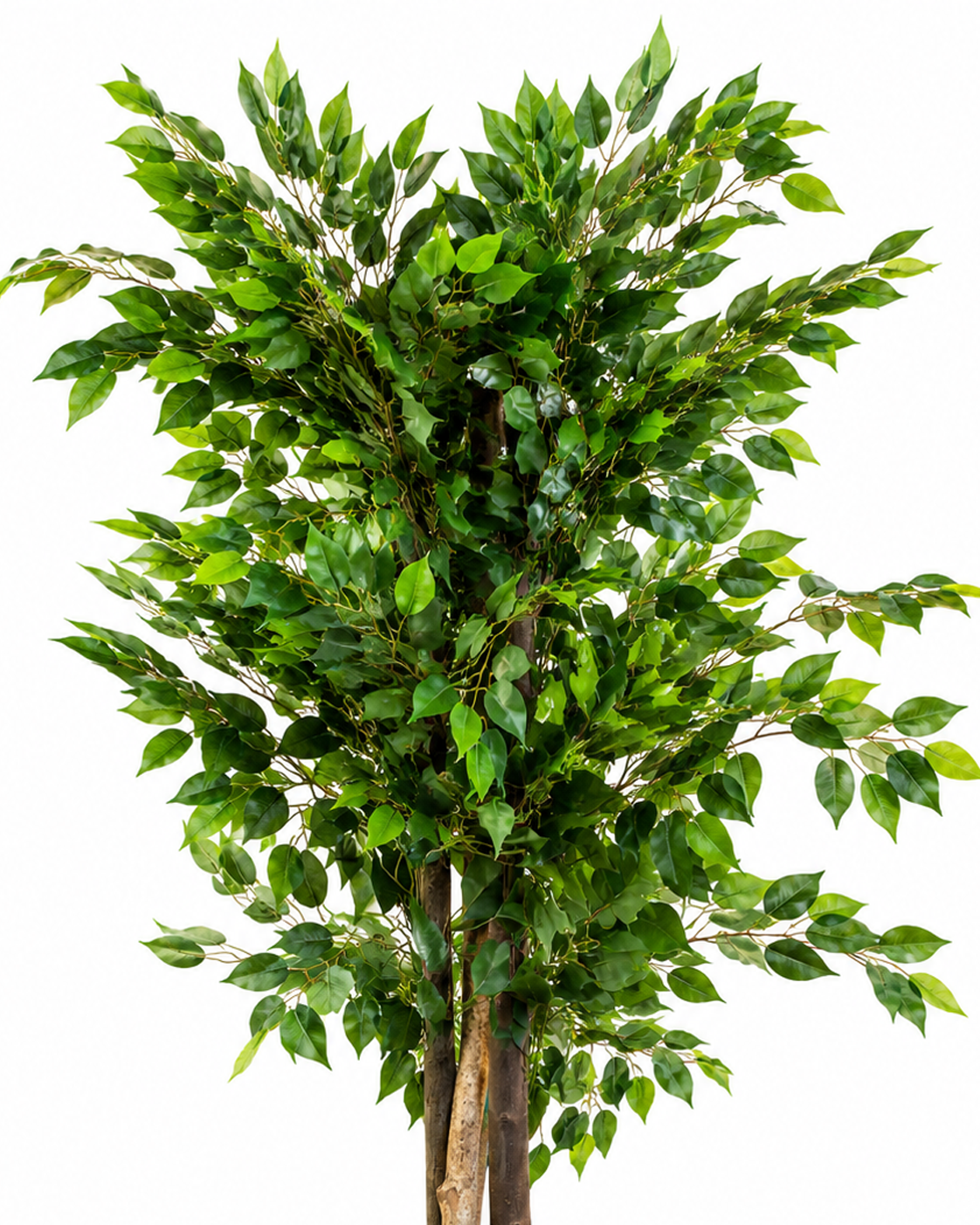 Banyan Elegance Artificial Indoor Plant For Home ( 5.25 Feet ) (Natural Feel)