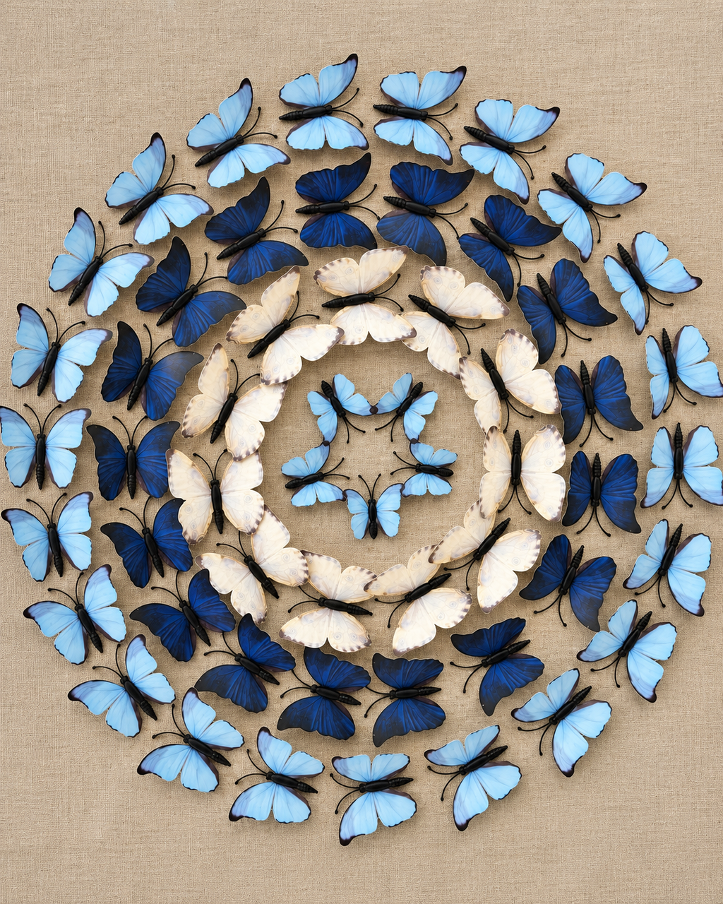 Circle of Butterflies Shadow Box for Wall Decoration & Wall Art