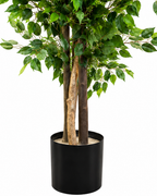 Banyan Elegance Artificial Indoor Plant For Home ( 5.25 Feet ) (Natural Feel)