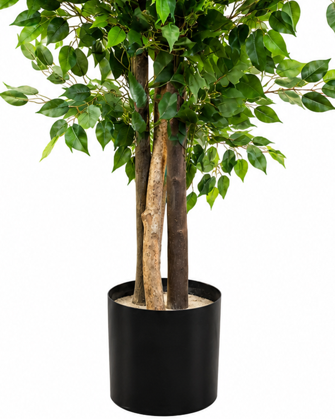 Banyan Elegance Artificial Indoor Plant For Home ( 5.25 Feet ) (Natural Feel)