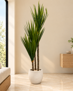 Cycad Royale Artificial Indoor Plant For Home ( 5 Feet ) (Natural Feel) - Medium