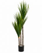 Cycad Royale Artificial Indoor Plant For Home ( 5 Feet ) (Natural Feel) - Medium