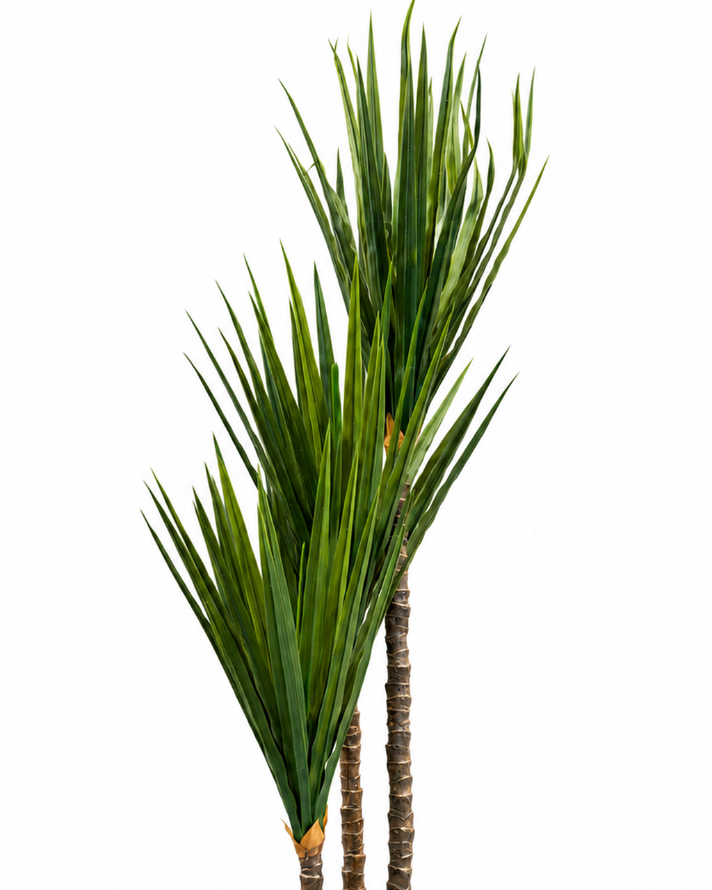 Cycad Royale Artificial Indoor Plant For Home ( 6.2 Feet ) (Natural Feel) - Big