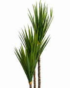Cycad Royale Artificial Indoor Plant For Home ( 5 Feet ) (Natural Feel) - Medium