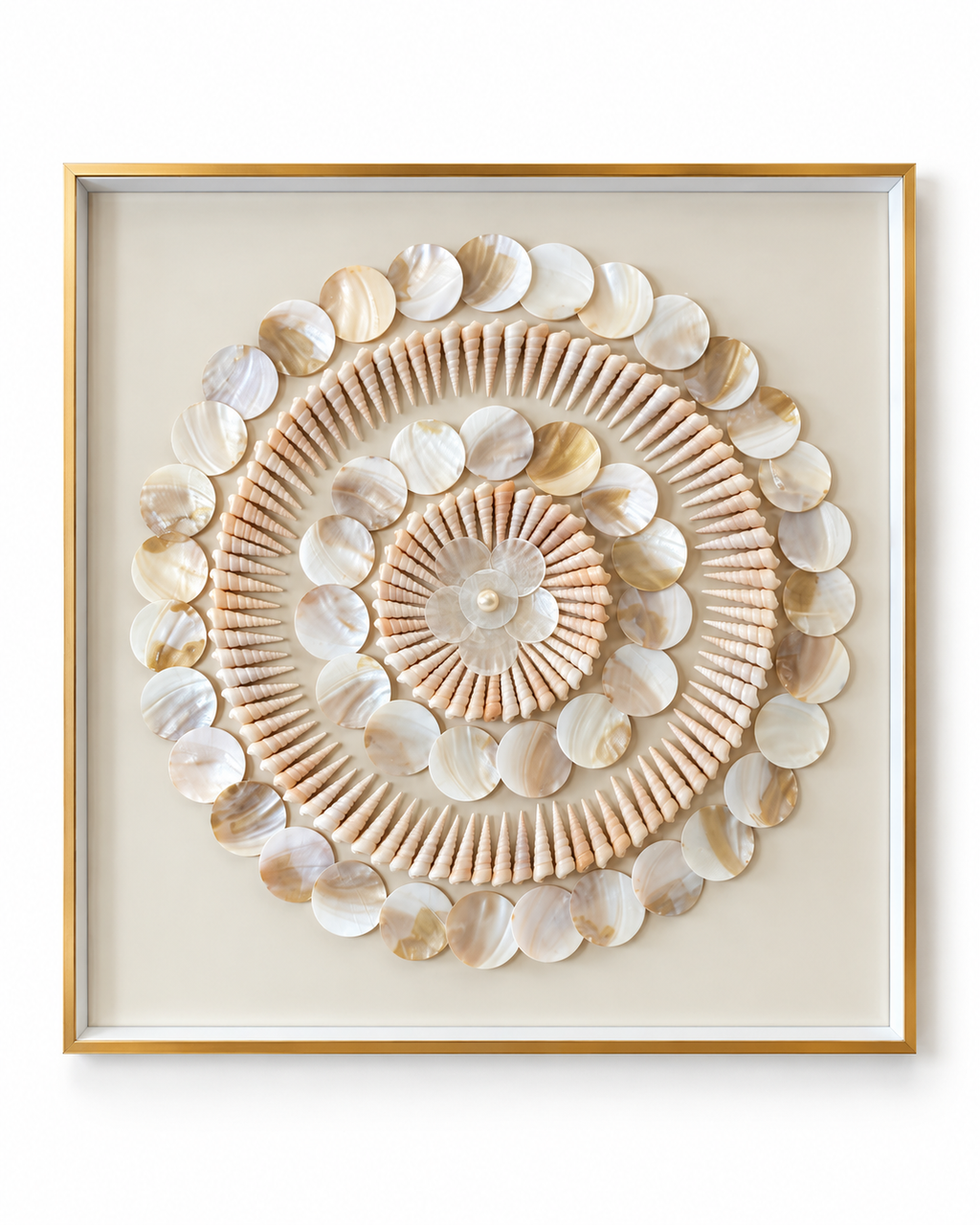 Shell Symphony Shadow Box Home Decoration Item
