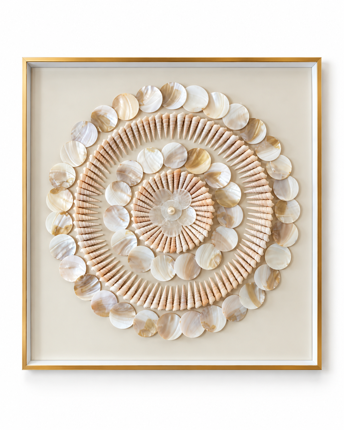 Shell Symphony Shadow Box Home Decoration Item