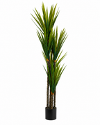 Cycad Royale Artificial Indoor Plant For Home ( 6.2 Feet ) (Natural Feel) - Big