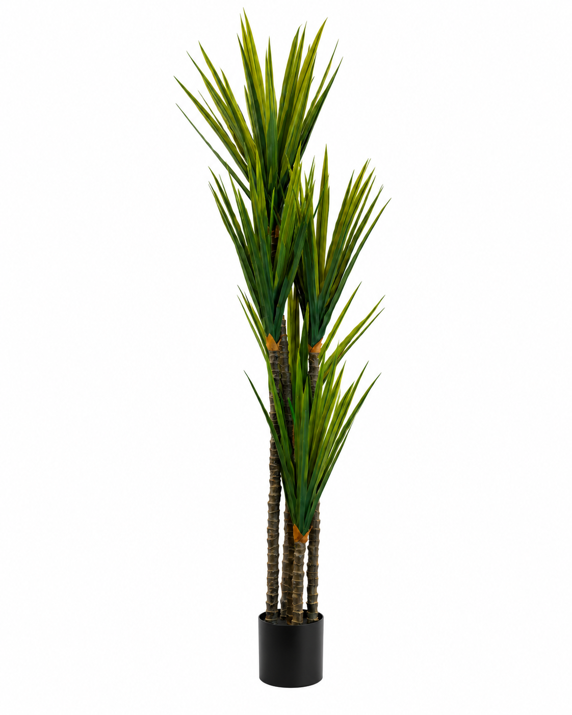Cycad Royale Artificial Indoor Plant For Home ( 6.2 Feet ) (Natural Feel) - Big
