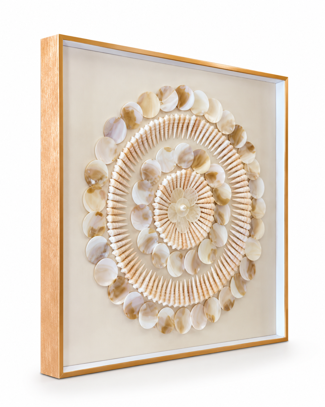 Shell Symphony Shadow Box Home Decoration Item