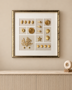 A Sea Of Illusions Shadow Box Wall Decoration Piece