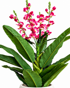 Tropical Gladiolus Artificial Indoor Plant For Home ( 4.6 Feet ) (Natural Feel)