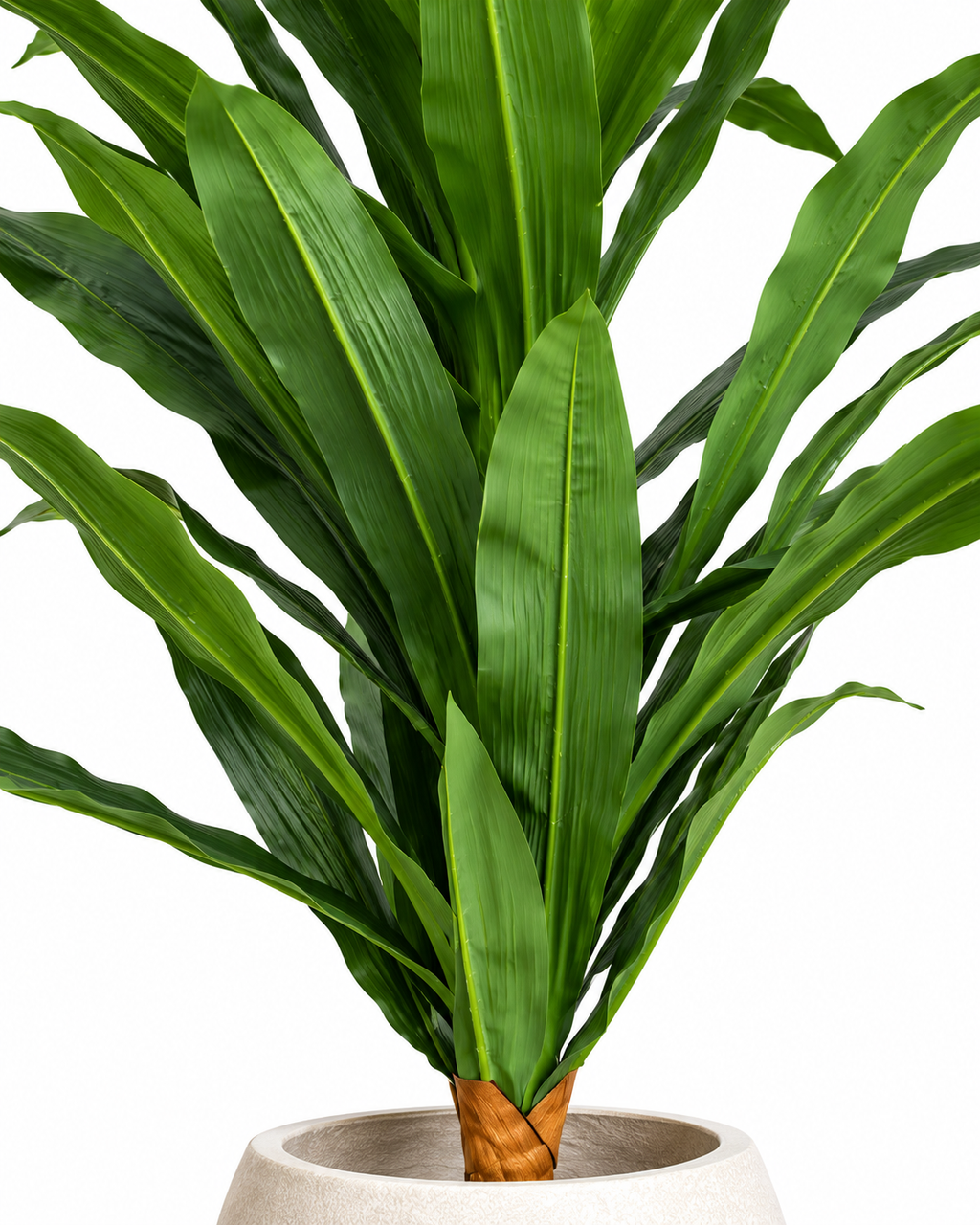 Paradise Cane Artificial Indoor Plant For Home ( 5.9 Feet ) (Natural Feel)