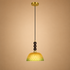 Garden Aura Pendant Light For Home  & Item  for Home Decoration - Yellow & Green