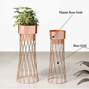 Zen Botanics Planters Set of 2 - Rose Gold