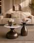 Luna Form Coffee Table for Living Room - Set of 2