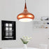 Solstice Pendant Light For Living Room & Home Decoration item