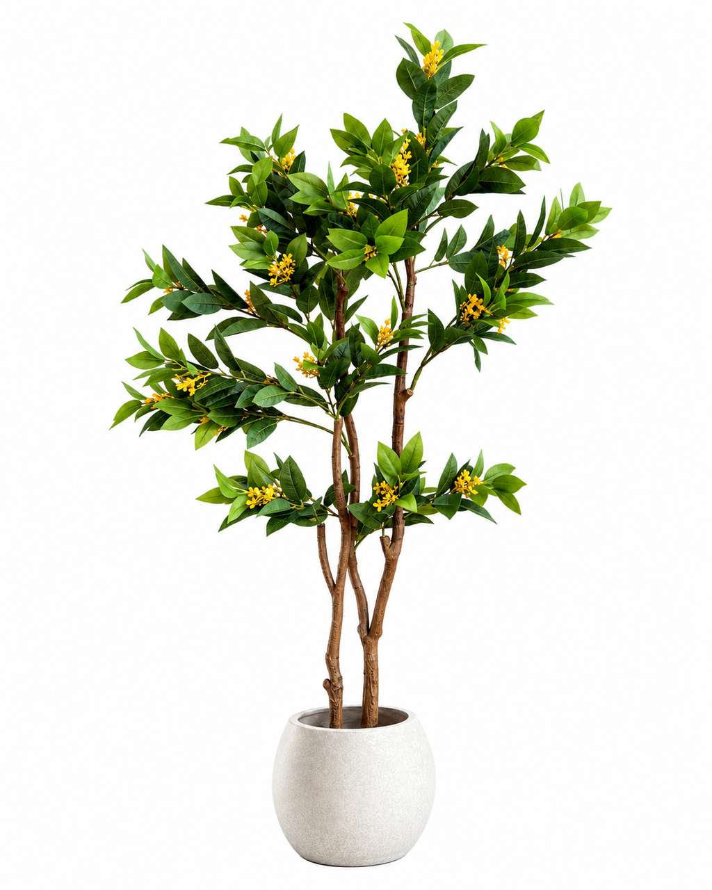 Osmanthus Grove Artificial Indoor Plant For Home ( 4.8 Feet ) (Natural Feel)