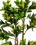 Osmanthus Grove Artificial Indoor Plant For Home ( 4.8 Feet ) (Natural Feel)