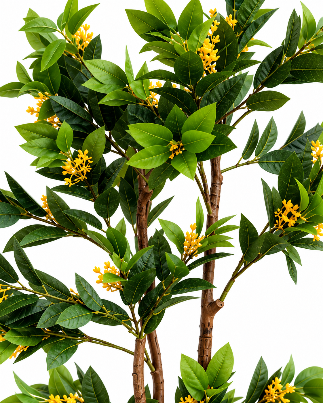 Osmanthus Grove Artificial Indoor Plant For Home ( 4.8 Feet ) (Natural Feel)