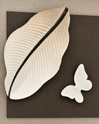Nature in Relief Shadow Box for Wall Decoration & Wall Art