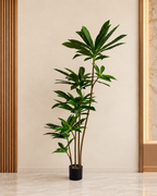 Paradise Dracaena Artificial Indoor Plant For Home ( 4.9 Feet ) (Natural Feel)