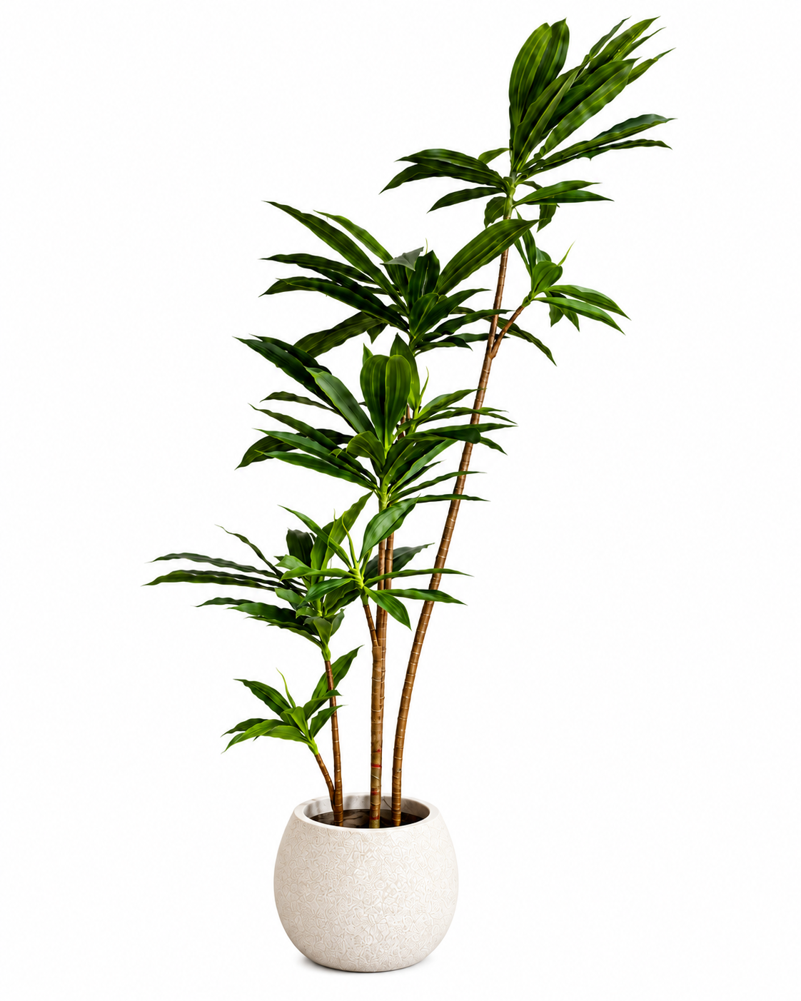 Paradise Dracaena Artificial Indoor Plant For Home ( 4.9 Feet ) (Natural Feel)