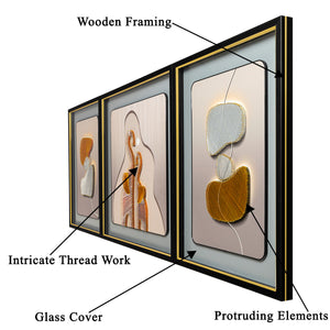 Dazzling Ecstasy Shadow Box Wall Decoration Piece - Set of 3