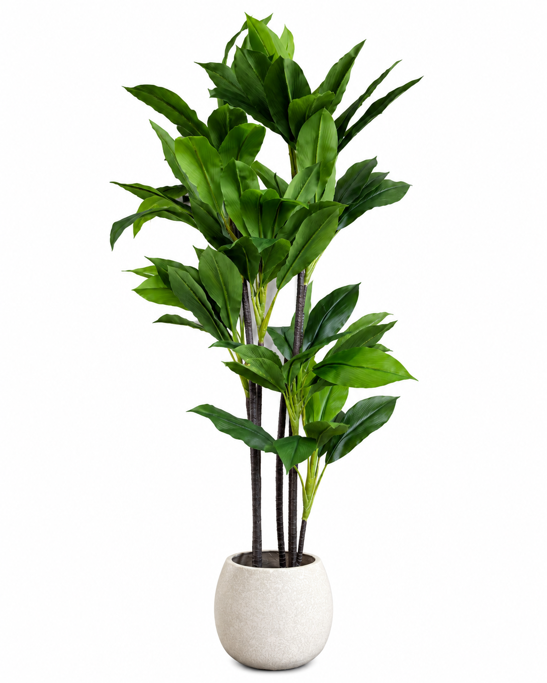 Evergreen Sago Artificial Indoor Plant For Home ( 4.9 Feet ) (Natural Feel)