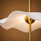Elowa Ceiling Light For Home & Home Decoration Item (Italian Designer Collection)