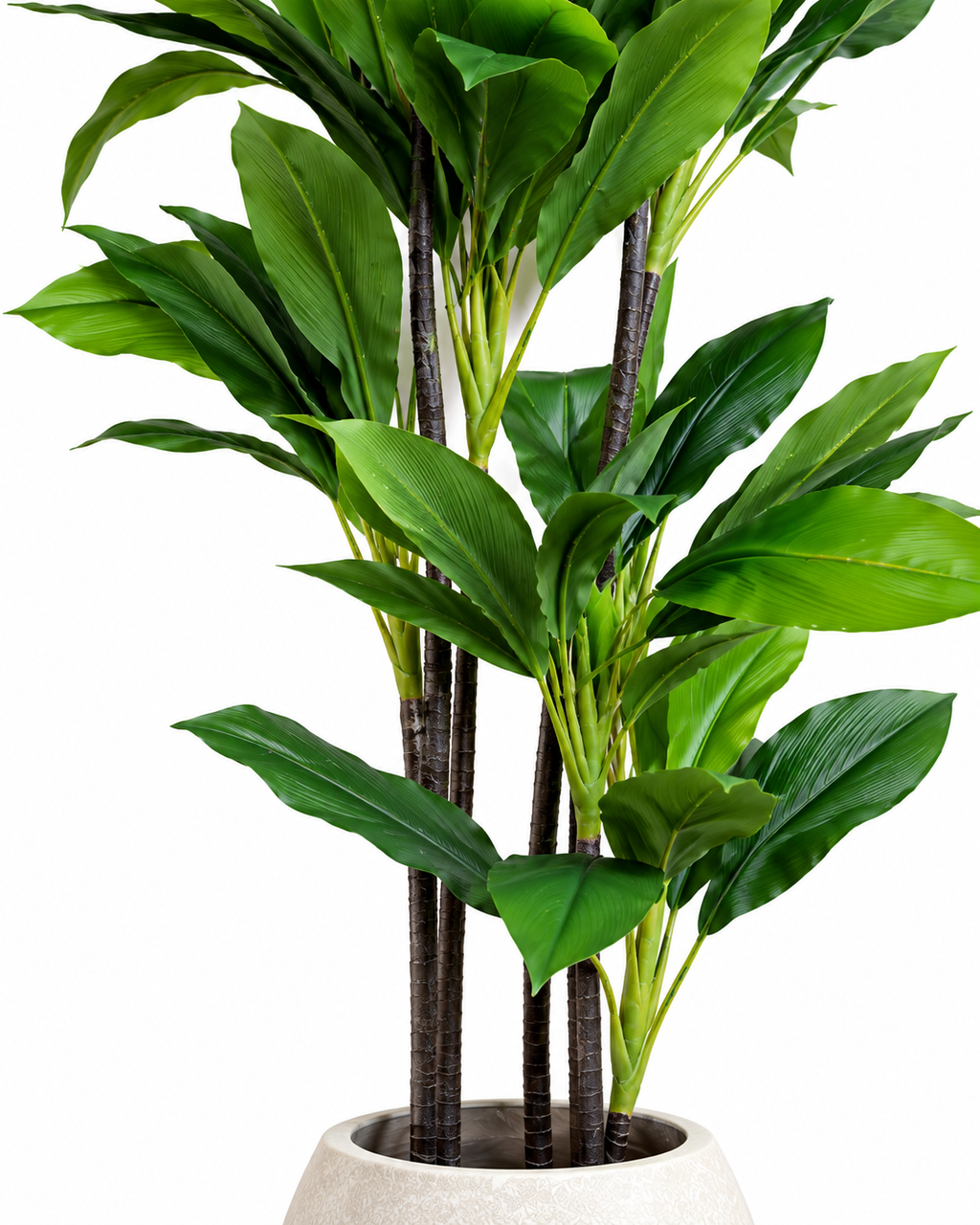 Evergreen Sago Artificial Indoor Plant For Home ( 4.9 Feet ) (Natural Feel)