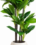 Evergreen Sago Artificial Indoor Plant For Home ( 4.9 Feet ) (Natural Feel)