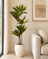 Tropical Cycas Tree Artificial Indoor Plant For Home ( 5.1 Feet ) (Natural Feel)
