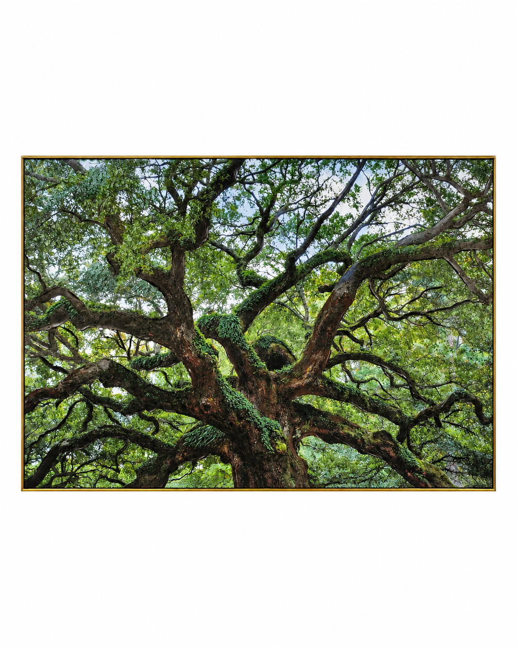 Tree of Life by Top American &  European contemporary Artists 100% Hand Wall Painting For Home (With Outer Floater Frame frame) ( 35.5 x 53 Inches )
