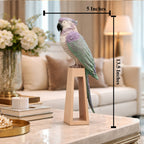 Pastel Parrot Decorative showpiece & Items for Room Decoration