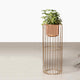 Botanic Couture Planters - Small - Rose Gold