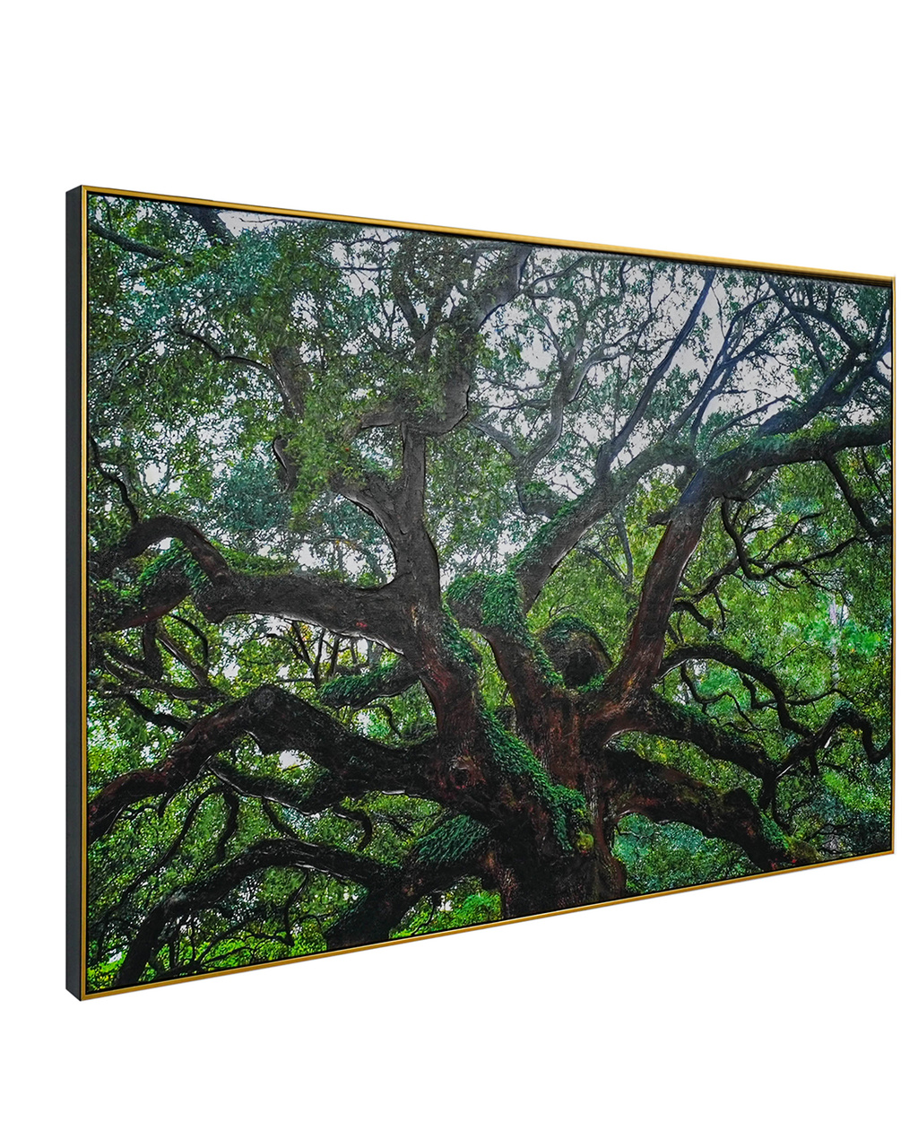 Tree of Life by Top American &  European contemporary Artists 100% Hand Wall Painting For Home (With Outer Floater Frame frame) ( 35.5 x 53 Inches )