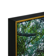 Tree of Life by Top American &  European contemporary Artists 100% Hand Wall Painting For Home (With Outer Floater Frame frame) ( 35.5 x 53 Inches )