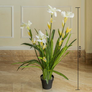 Snowy Iris Mirage Artificial Flower For Living Room - 3.5 Feet