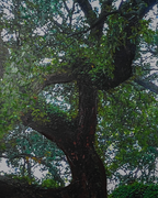 Tree of Life by Top American &  European contemporary Artists 100% Hand Wall Painting For Home (With Outer Floater Frame frame) ( 35.5 x 53 Inches )