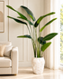 Tropical Traveller Palm Artificial Indoor Plant For Home ( 6.2 Feet ) (Natural Feel)