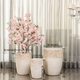 Frosted Flora Indoor Planters For Home - Set of 3